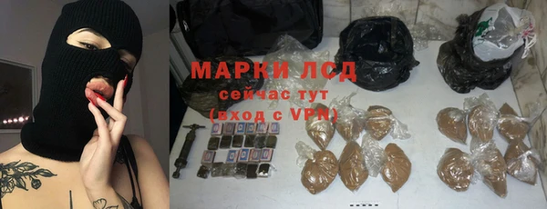 прущие грибы Снежинск